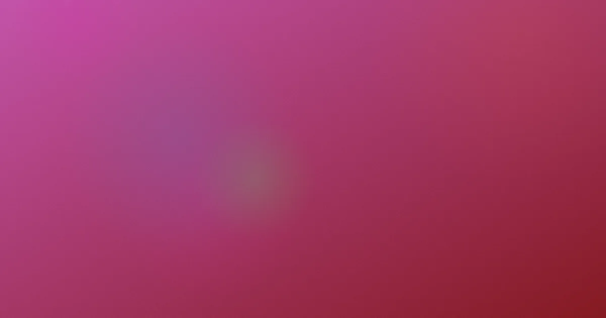 新木优子推荐：新手这样看